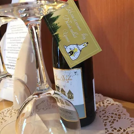 Дбайлива Ципа Bed & Breakfast Mizhhirya  Exterior photo